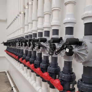 commercial cannabis grow