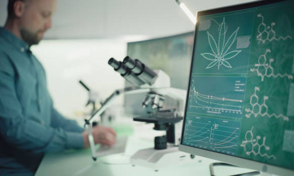 testing cannabis safety