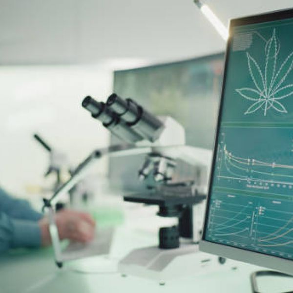 testing cannabis safety