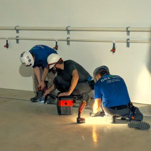 commercial cannabis grow