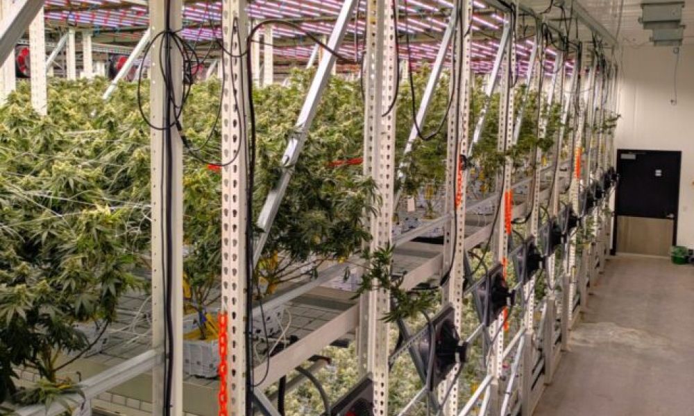 vertical farming