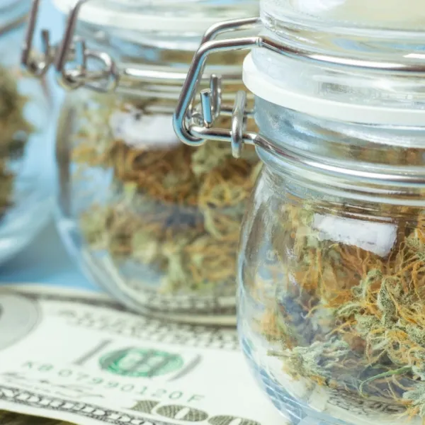 marijuana industry