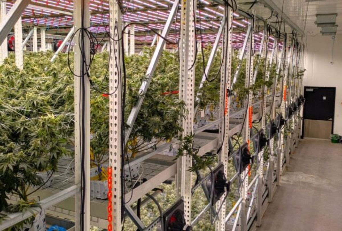 vertical farming