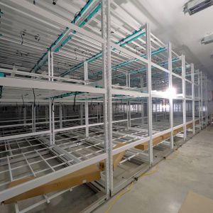 commercial cannabis grow