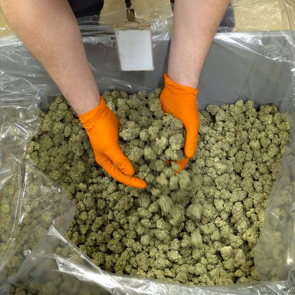 cannabis industry