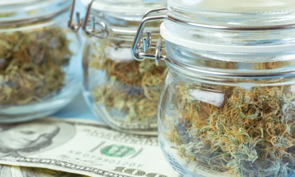 marijuana industry