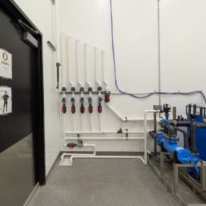 commercial cannabis grow