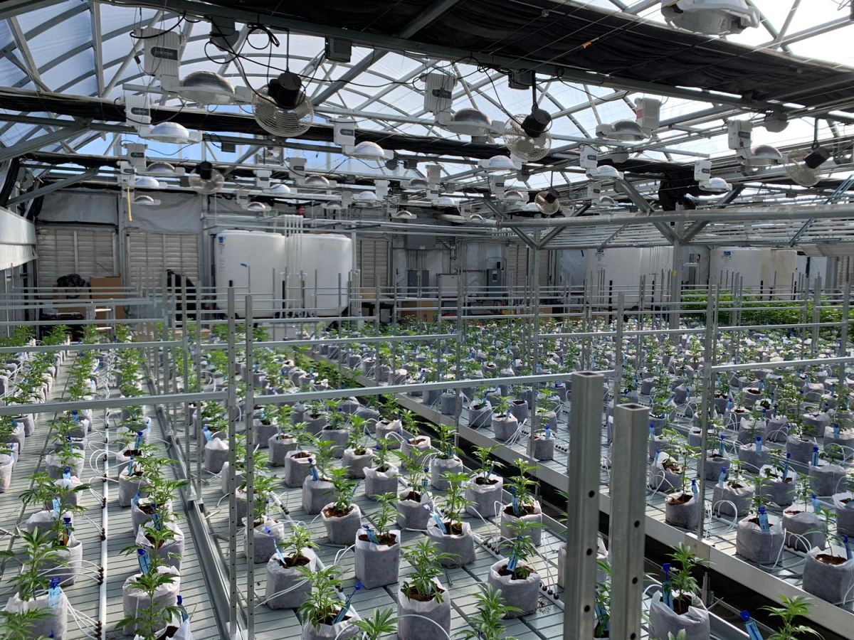 multi-tiered racking systems