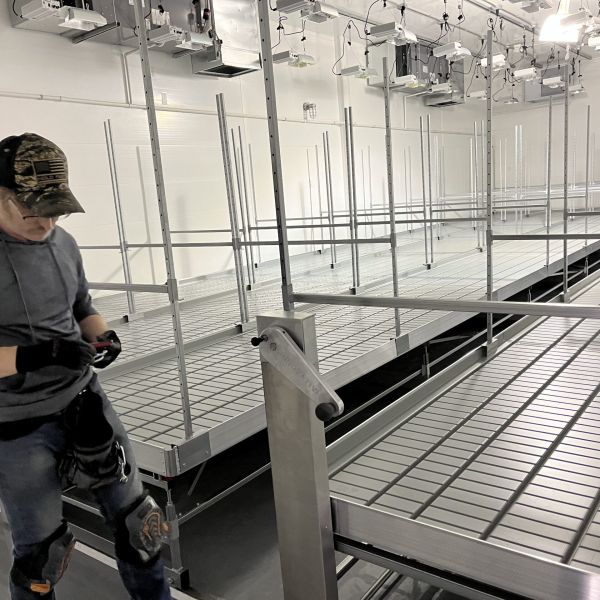 marijuana cultivation