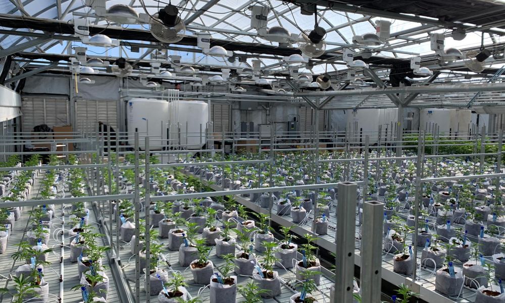 multi-tiered racking systems