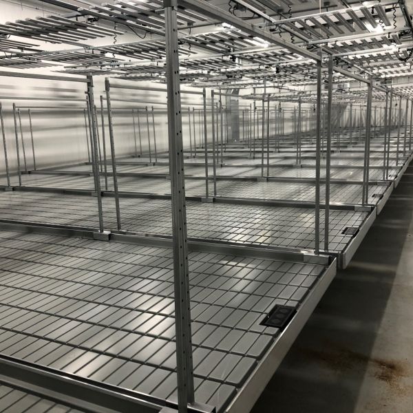 cannabis cultivation services